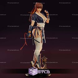 Kasumi Dead or Alive Classic Suit Digital STL Files