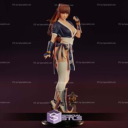 Kasumi Dead or Alive Classic Suit Digital STL Files