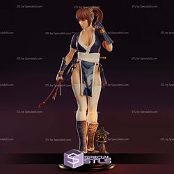 Kasumi Dead or Alive Classic Suit Digital STL Files