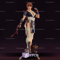 Kasumi Dead or Alive Classic Suit Digital STL Files