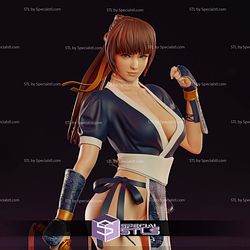 Kasumi Dead or Alive Classic Suit Digital STL Files