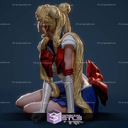 Sailor Moon Realistic Cry Digital STL Files