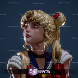 Sailor Moon Realistic Cry Digital STL Files