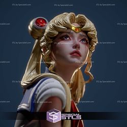 Sailor Moon Realistic Cry Digital STL Files