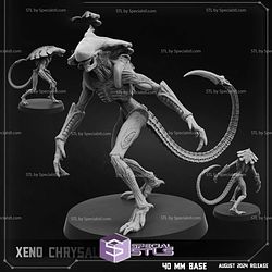 August 2024 Cyberpunk PapSikels Miniatures