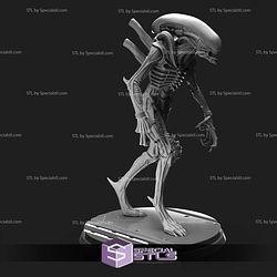 August 2024 Imp3dsion Miniatures