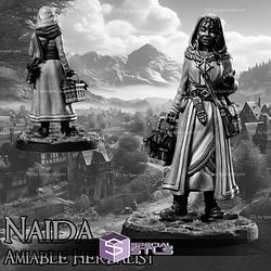 August 2024 Infinite Dimension Games Miniatures