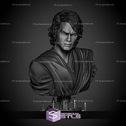 Anakin Skywalker 2024 Portrait Bust STL Printer Files