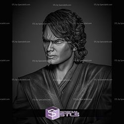 Anakin Skywalker 2024 Portrait Bust STL Printer Files