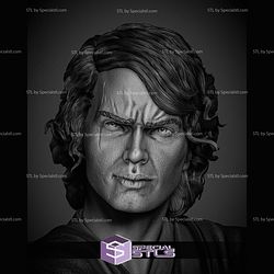 Anakin Skywalker 2024 Portrait Bust STL Printer Files