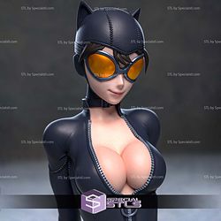 Catwoman Money Suitcase STL Printer Files