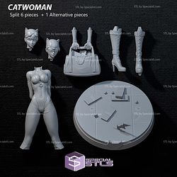 Catwoman Money Suitcase STL Printer Files