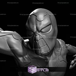 Cosmic Spiderman STL Printer Files