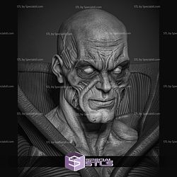 Deadman Portrait Bust STL Printer Files