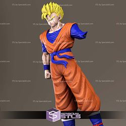 Future Gohan Injury STL Printer Files