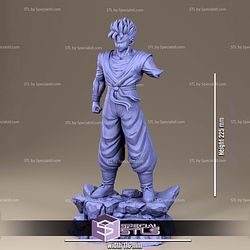 Future Gohan Injury STL Printer Files