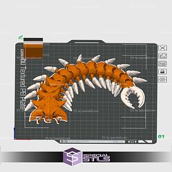 Alien Centipede Color 3D Print