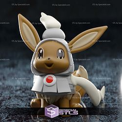 Basic Pokemon Collection - Dusclops Eevee