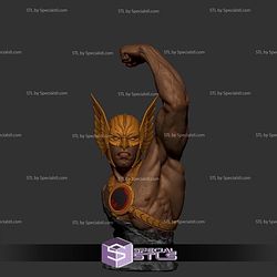 Hawkman Bust Digital STL Files