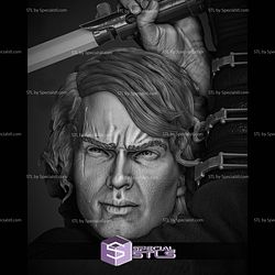 Anakin Skywalker 2024 Bust STL Printer Files