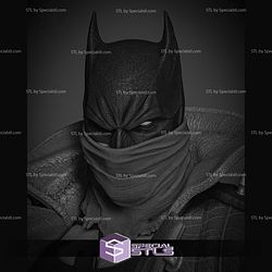 Batman Dark Nights Metal STL Printer Files