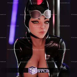 Catwoman and Pole STL Printer Files