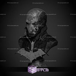 Red Hood Dceased Bust STL Printer Files