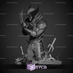 Wolverine 2024 Bust STL Printer Files