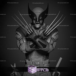 Wolverine 2024 Bust STL Printer Files