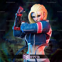 Cammy Broken Base STL Printer Files