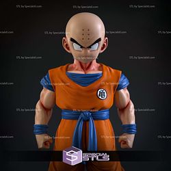 Krillin Z Warrior STL Printer Files