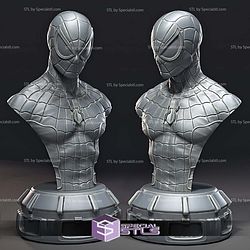 Spider Boy Bust STL Printer Files