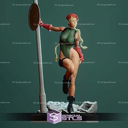 Cammy by the Pole STL Printer Files