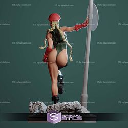 Cammy by the Pole STL Printer Files