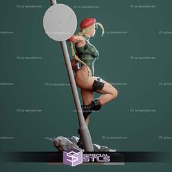 Cammy by the Pole STL Printer Files