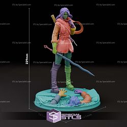 Ciri The Witcher Winter STL Printer Files