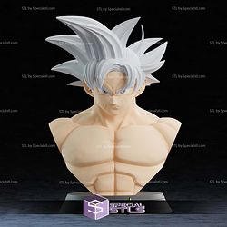 Life Size Goku Bust V2 STL Files