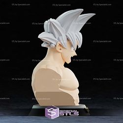 Life Size Goku Bust V2 STL Files