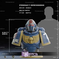 Life Size Space Marine Bust STL Files