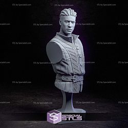 Wyll Baldurs Gate Bust Fire STL Printer Files