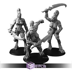 September 2024 Cross Lances Miniatures