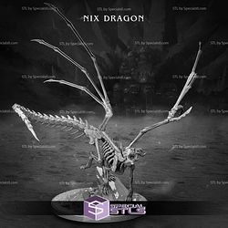 September 2024 Lair Dragonbond Miniatures