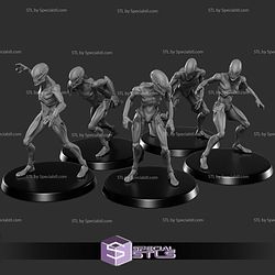 September 2024 Skullforge Studios Miniatures