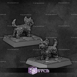 September 2024 Vae Victis Miniatures