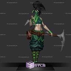 Akali the Rogue Assassin 3D Print Files