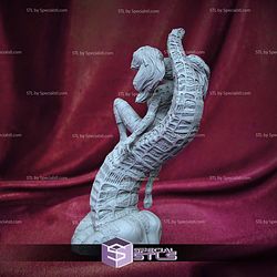 Cybergirl Vega NSFW 3D Print Files