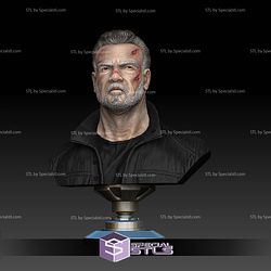 Terminator Dark Fate Bust 3D Print Files