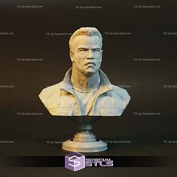 Terminator Dark Fate Bust 3D Print Files