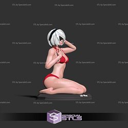 2B Bikini Music 3D Print Files