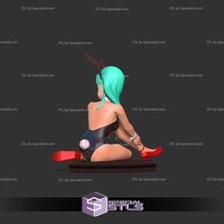 Bulma Bunny Sitting 3D Print Files